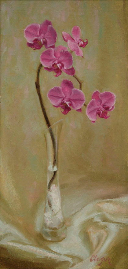 Orchids