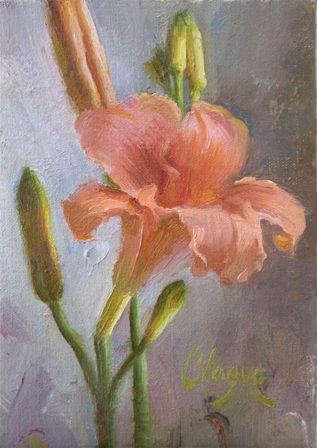 Peach Lily