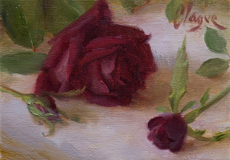 Velvet Rose