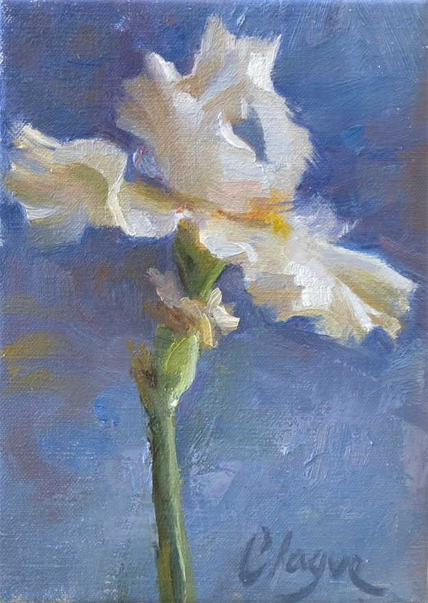 White Iris